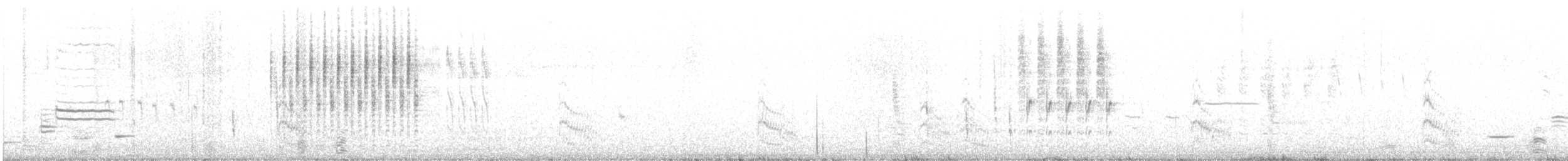 Forster's Tern - ML570937431