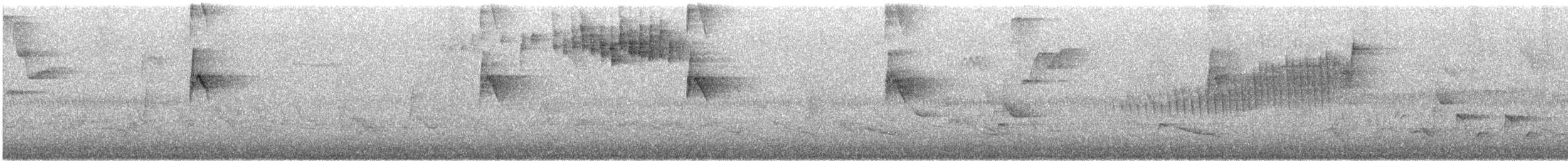 svarthetteparula - ML570939031