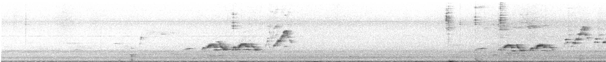 Swainson's Thrush - ML570954691