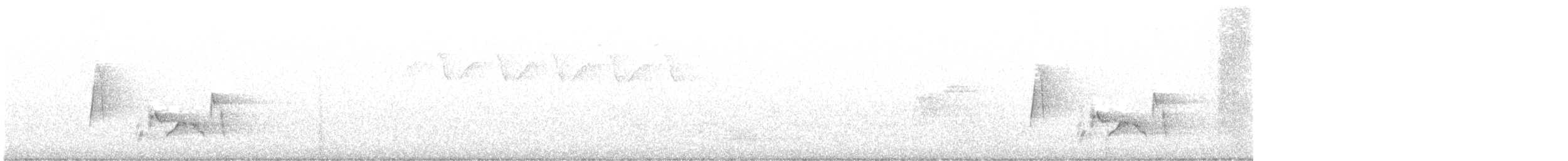 White-eyed Vireo - ML570960081
