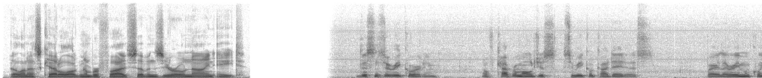 Chotacabras Coladeseda - ML57098