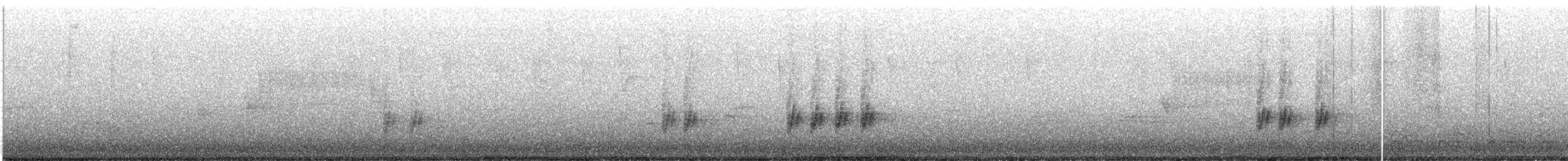 Troglodyte de Bewick - ML571078591