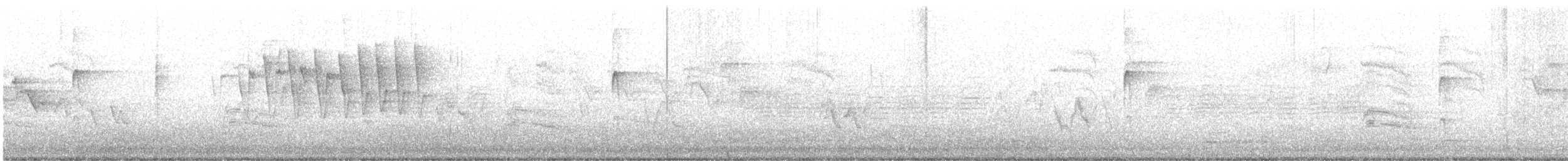 Wilson's Warbler - ML571083761