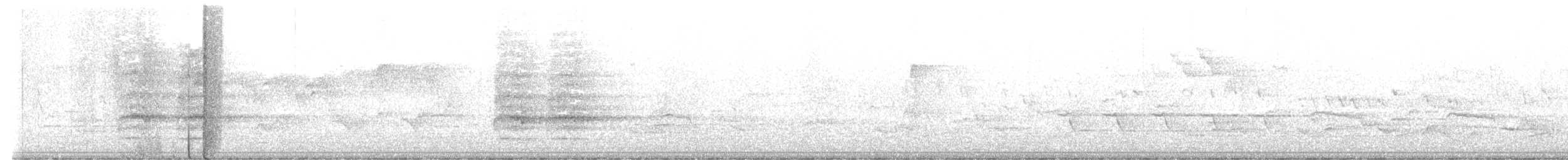 Волоочко канадське - ML571118091