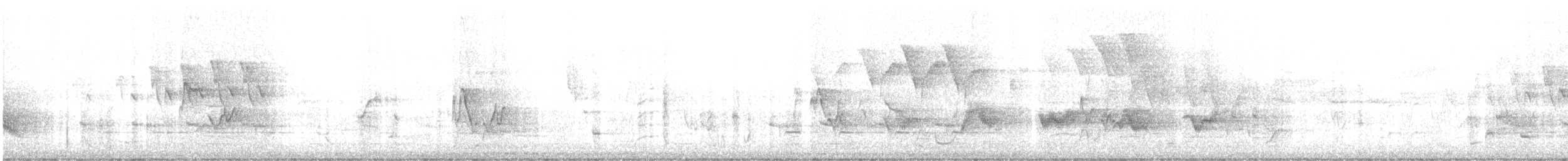 Чернокрылая пиранга - ML571123011