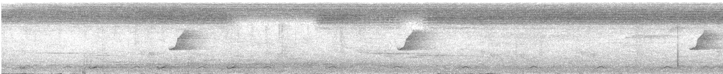 Gray-cheeked Warbler - ML571144181