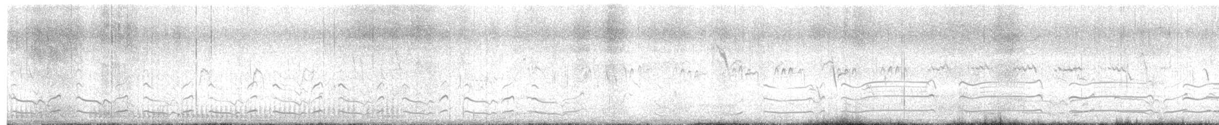 Black-tailed Godwit - ML571151431