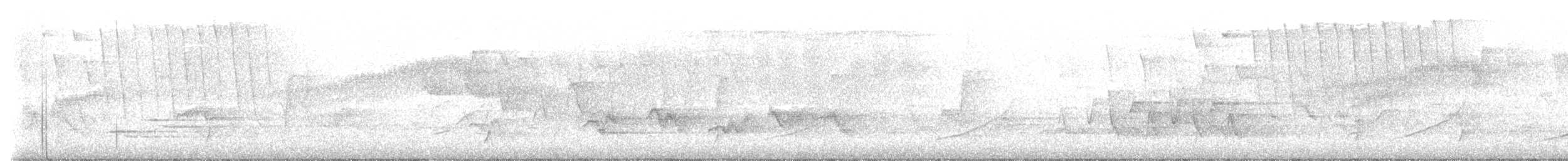 Connecticut Warbler - ML571161421