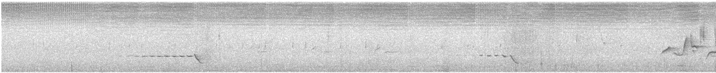 Siffleur occidental - ML571171041