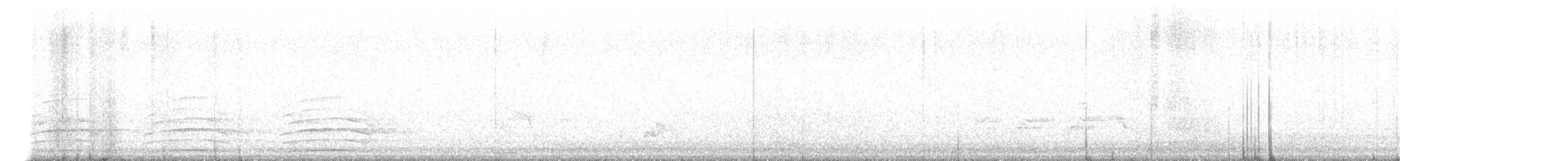 Индийский павлин (Одомашенного вида) - ML571196121