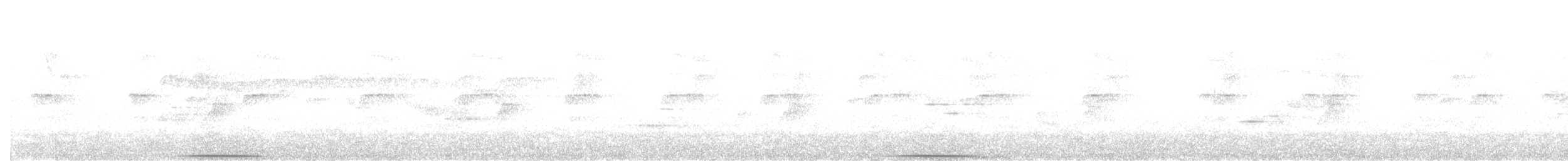 Голубок білогорлий - ML571214871