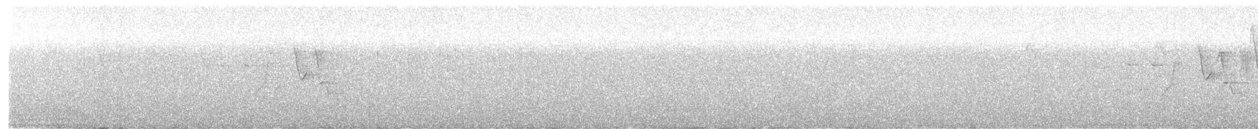 Mountain Elaenia - ML571215951