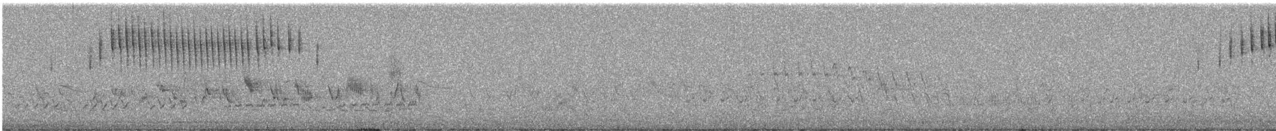 Кузнечиковая овсянка-барсучок - ML57122841