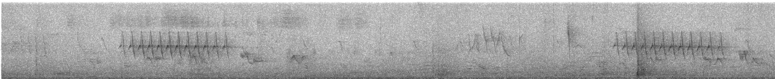 Юнко сірий [група oreganus] - ML57123641