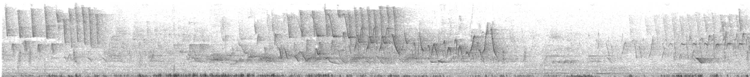 Brauenwaldsänger - ML571238251