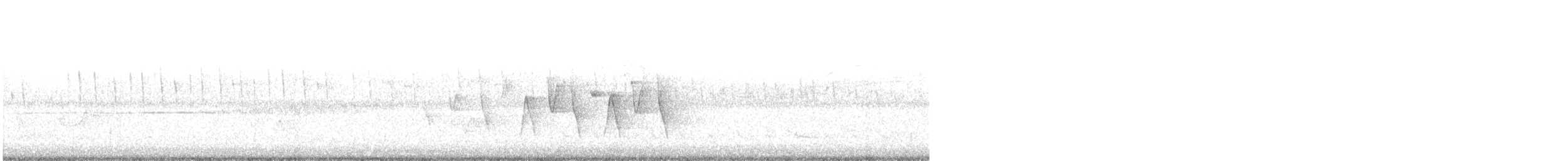 Connecticut Warbler - ML571239101