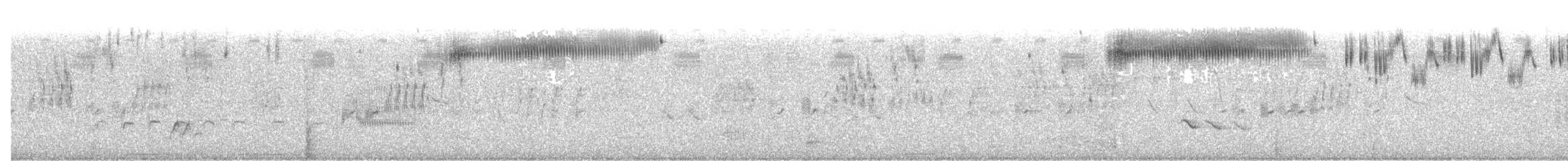 Кузнечиковая овсянка-барсучок - ML571260521