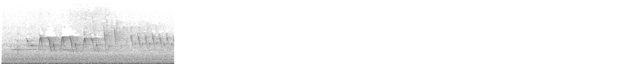 Connecticut Warbler - ML571264241