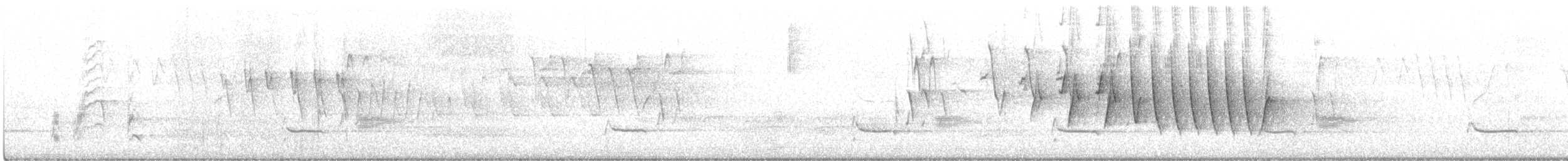 Northern Waterthrush - ML571276621