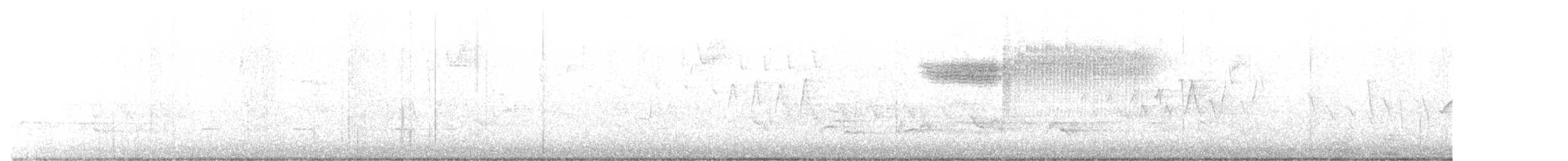Голубокрылая червеедка - ML571317761