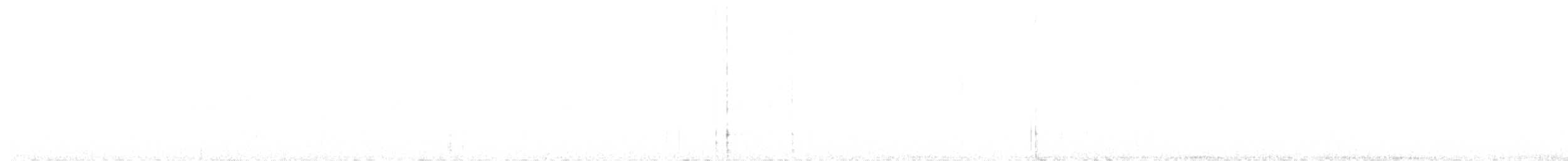 Шишкар ялиновий - ML571362711