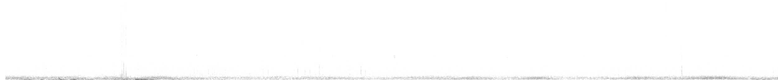Шишкар ялиновий - ML571362721