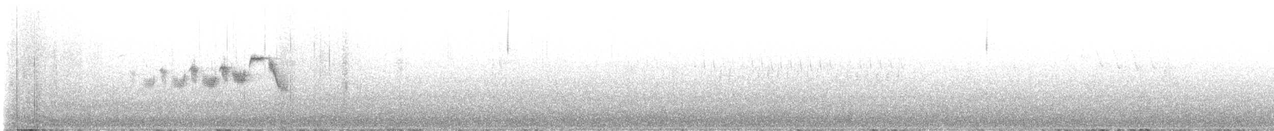 Black-throated Gray Warbler - ML571389861