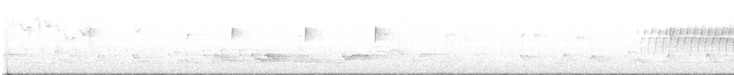シロクロアメリカムシクイ - ML571392591