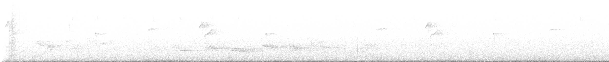 Batı Amerika Sinekkapanı [difficilis grubu] - ML571404871