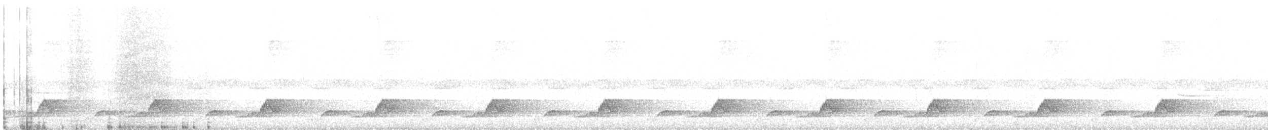 Schwarzkehl-Nachtschwalbe - ML571409991