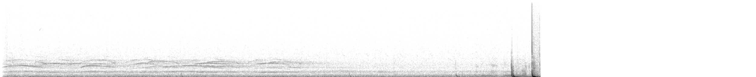 páv korunkatý (domestikovaný) - ML571446611
