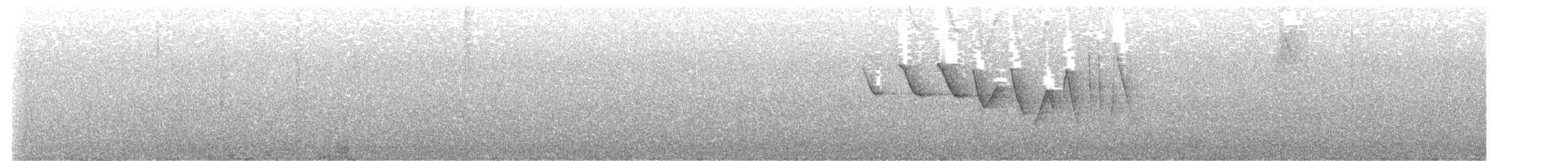 Трясогузковый певун - ML571454451