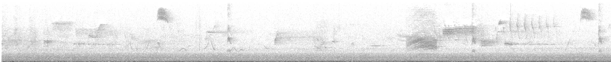 Fleckengrundammer [oregonus-Gruppe] - ML571494881
