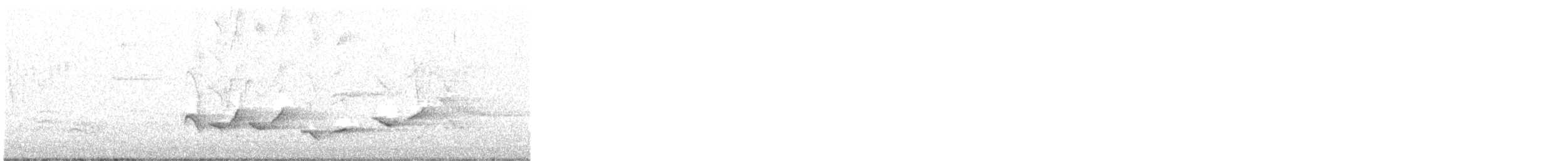 Baltimore Oriole - ML571495441