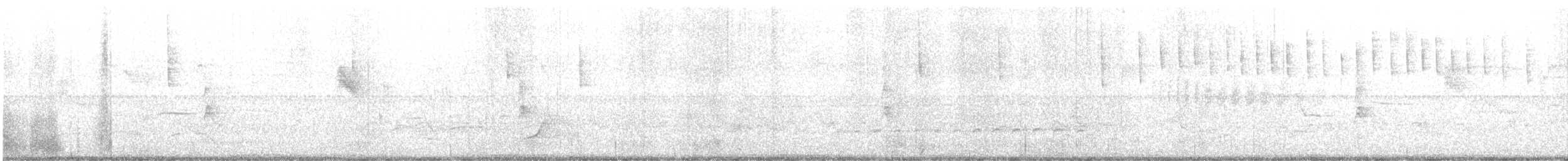 Pileated Woodpecker - ML571504641