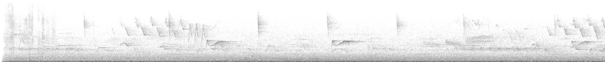 Піві-малюк жовточеревий - ML571518521