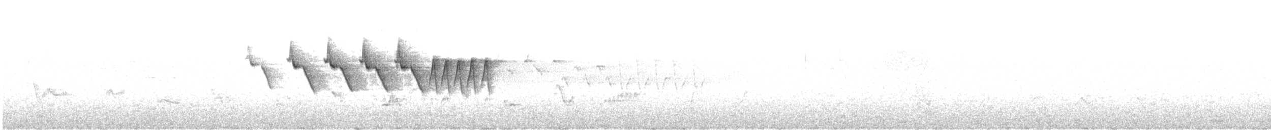 Червоїд сіроголовий (підвид ridgwayi) - ML571528661