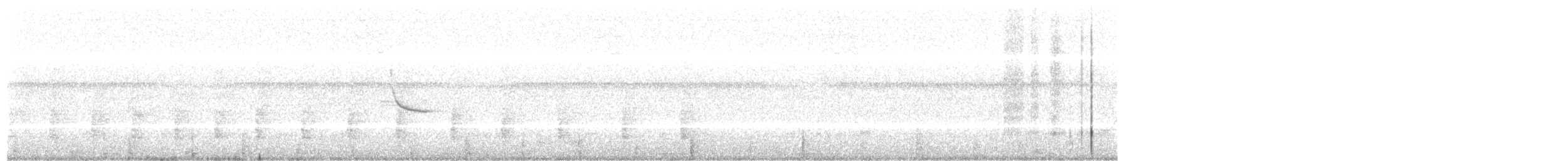Clapper Rail - ML571555631