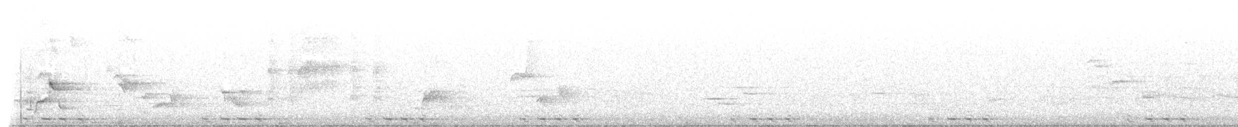 ハシグロカッコウ - ML571588861