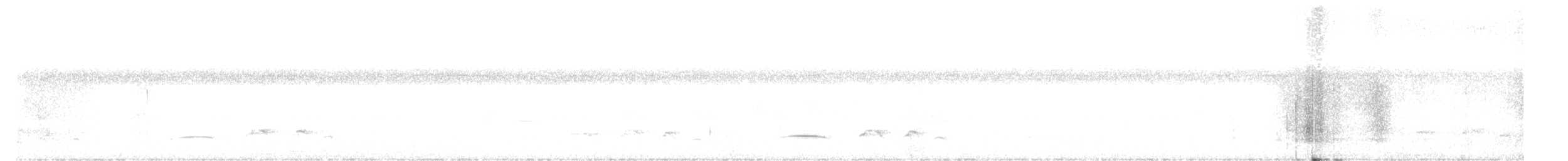 Aigle orné - ML571601401