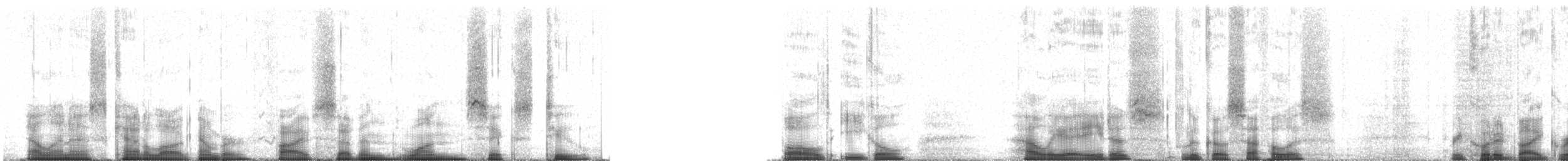 Bald Eagle - ML57162