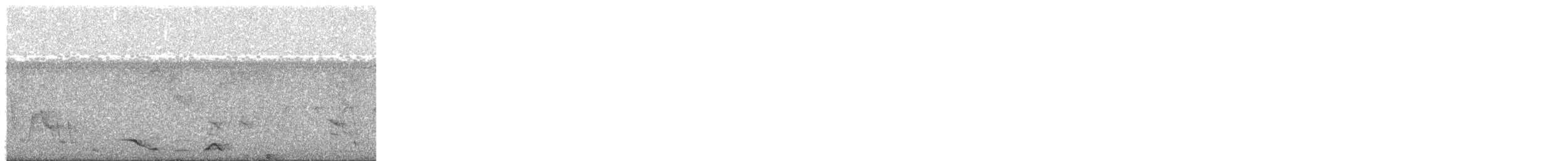 Black-bellied Wren - ML571621961