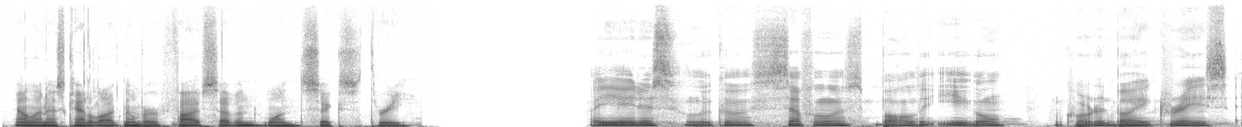 Bald Eagle - ML57163