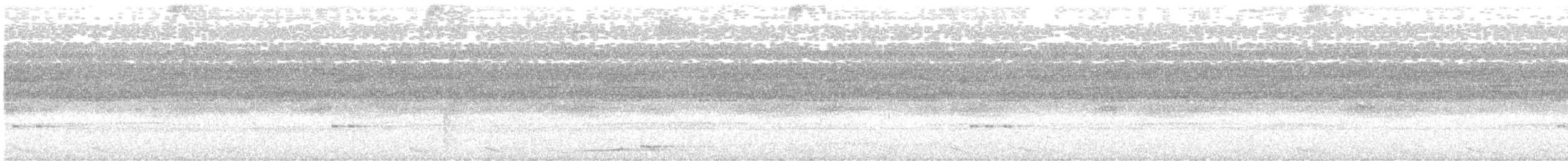 Puntarenas Screech-Owl (undescribed form) - ML571635331