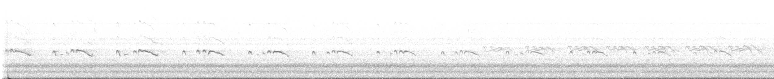 Pluvier kildir - ML571636561