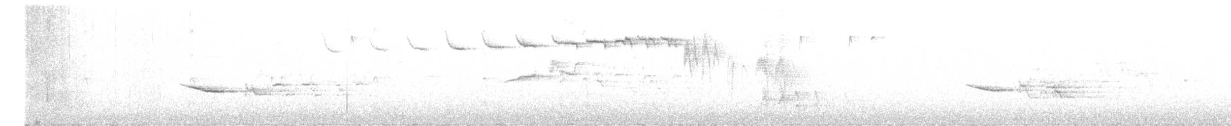 eremittskogtrost (guttatus gr.) - ML571645511