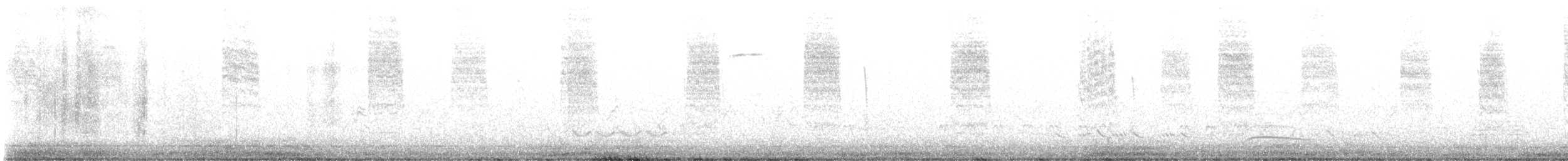 Black-tailed Gnatcatcher - ML571652281