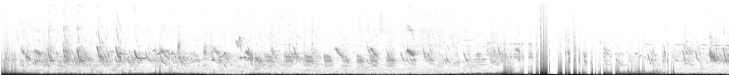 ムラサキツバメ - ML571662801