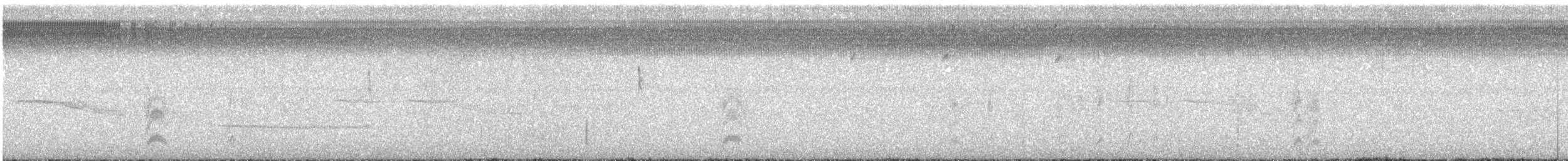 Піві-малюк світлогорлий - ML571674791