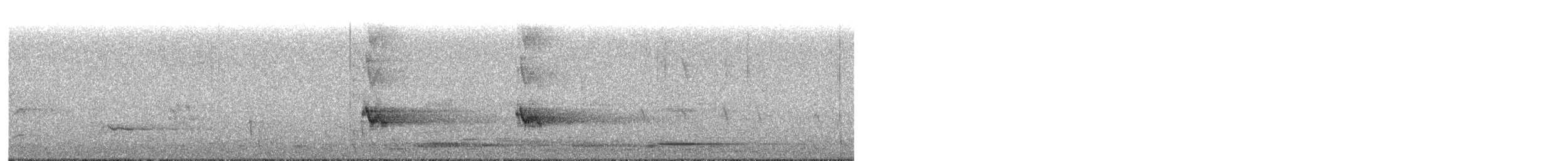 White-eared Honeyeater - ML571685521